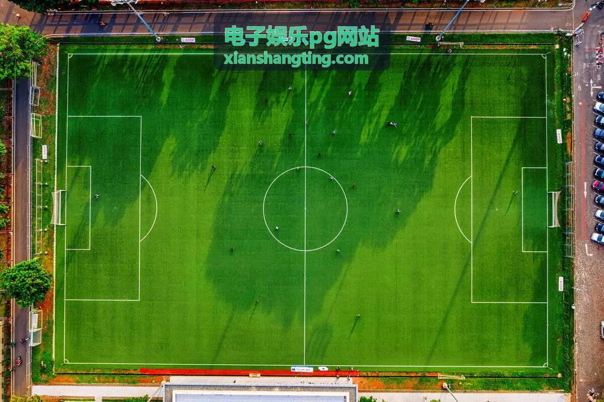 电子娱乐pg网站玩法规则图文说明配图