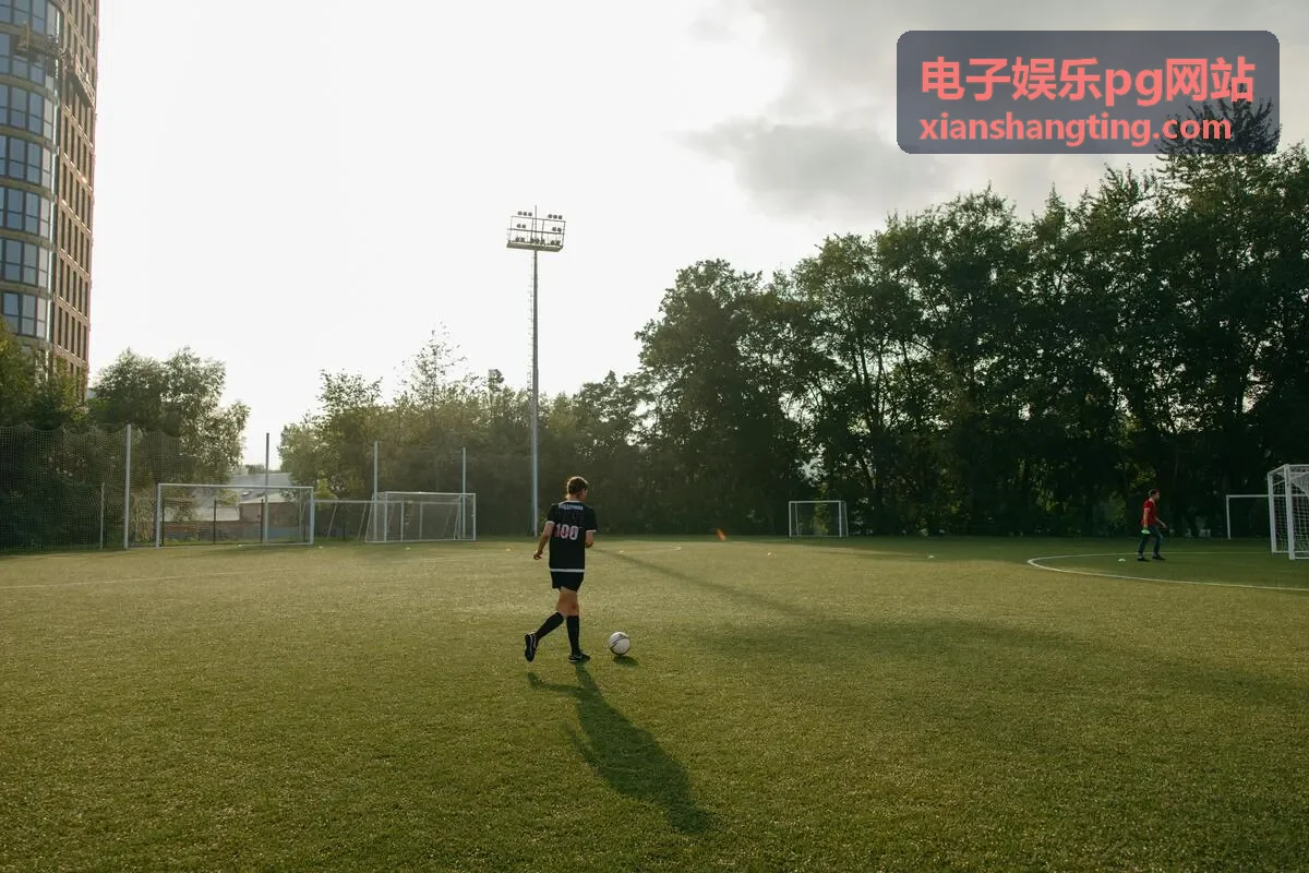 电子娱乐pg网站平台操作流程演示配图