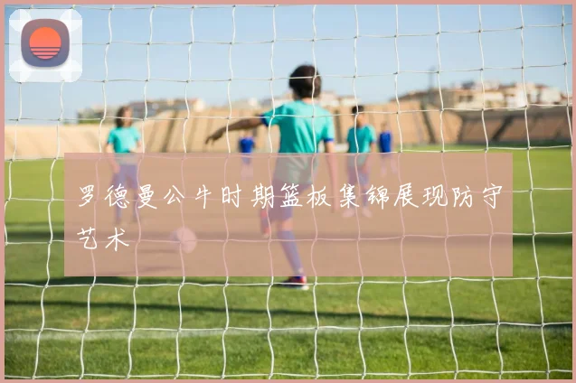 罗德曼公牛时期篮板集锦展现防守艺术