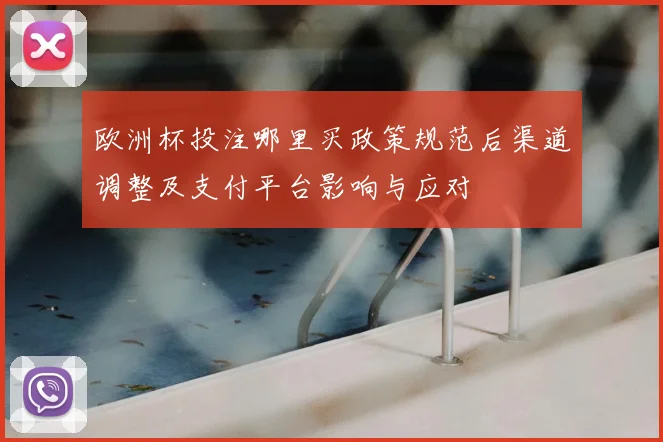 欧洲杯投注哪里买政策规范后渠道调整及支付平台影响与应对