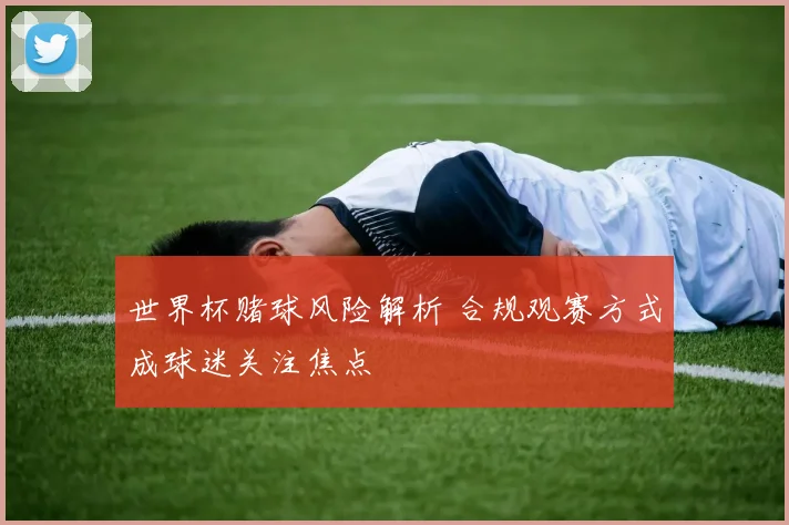 世界杯赌球风险解析 合规观赛方式成球迷关注焦点