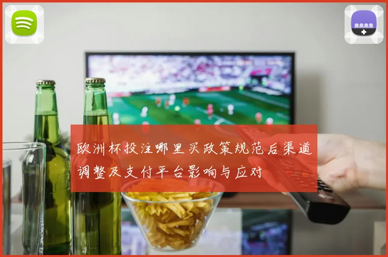 欧洲杯投注哪里买政策规范后渠道调整及支付平台影响与应对