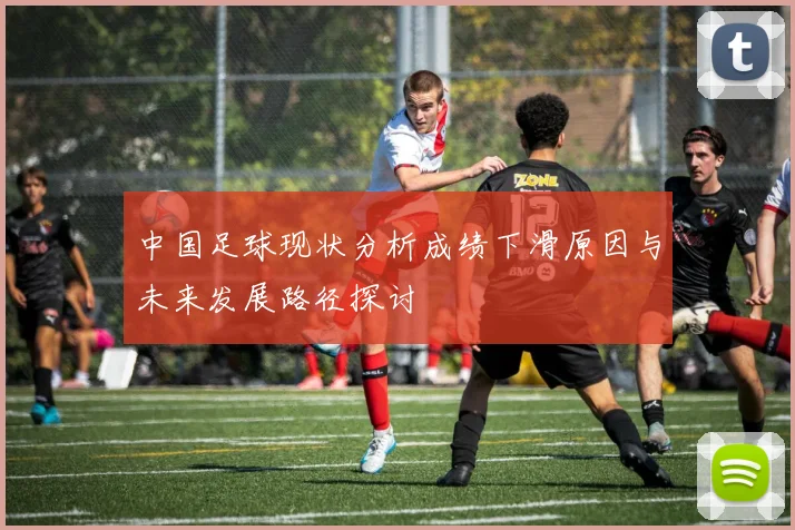 中国足球现状分析成绩下滑原因与未来发展路径探讨
