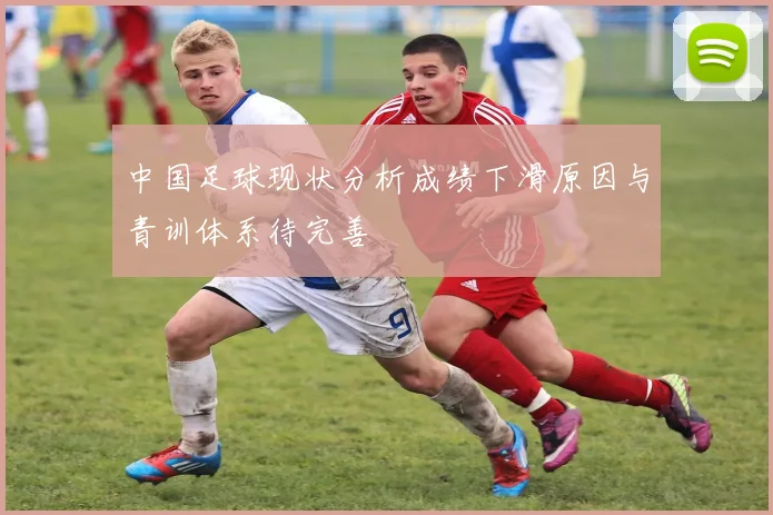 中国足球现状分析成绩下滑原因与青训体系待完善