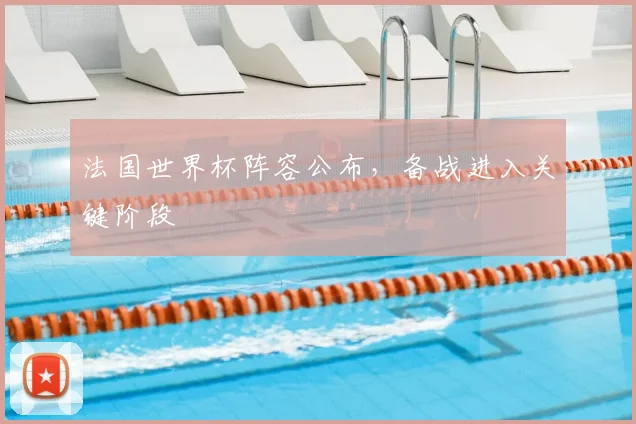 法国世界杯阵容公布,备战进入关键阶段