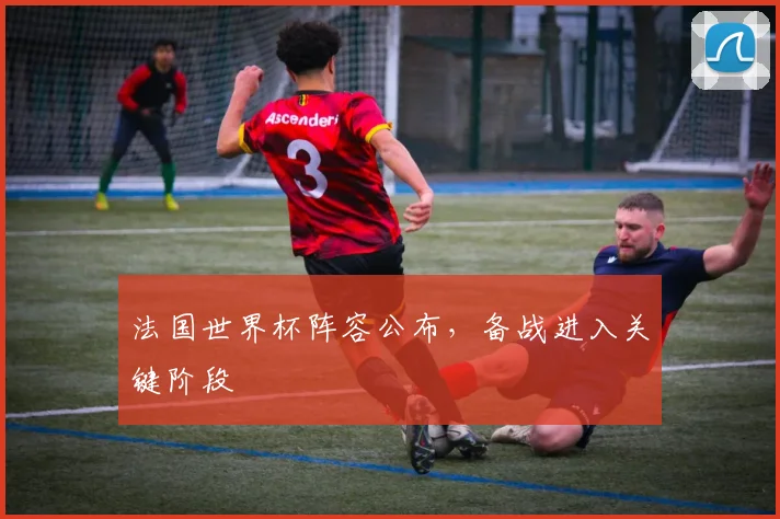 法国世界杯阵容公布,备战进入关键阶段