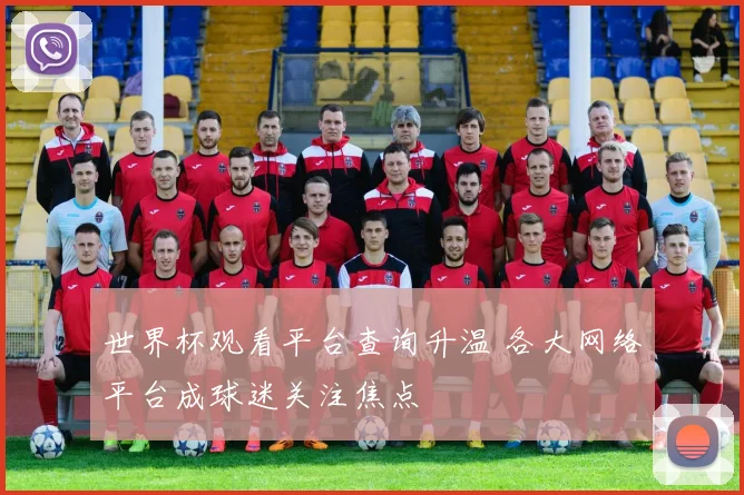 世界杯观看平台查询升温 各大网络平台成球迷关注焦点