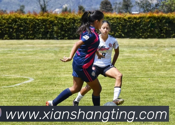 亚搏app注册官网品牌故事